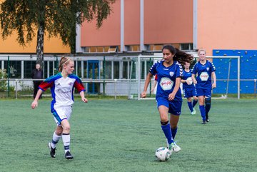Bild 101 - B-Juniorinnen SV Henstedt Ulzburg - FSC Kaltenkirchen : Ergebnis: 3:2